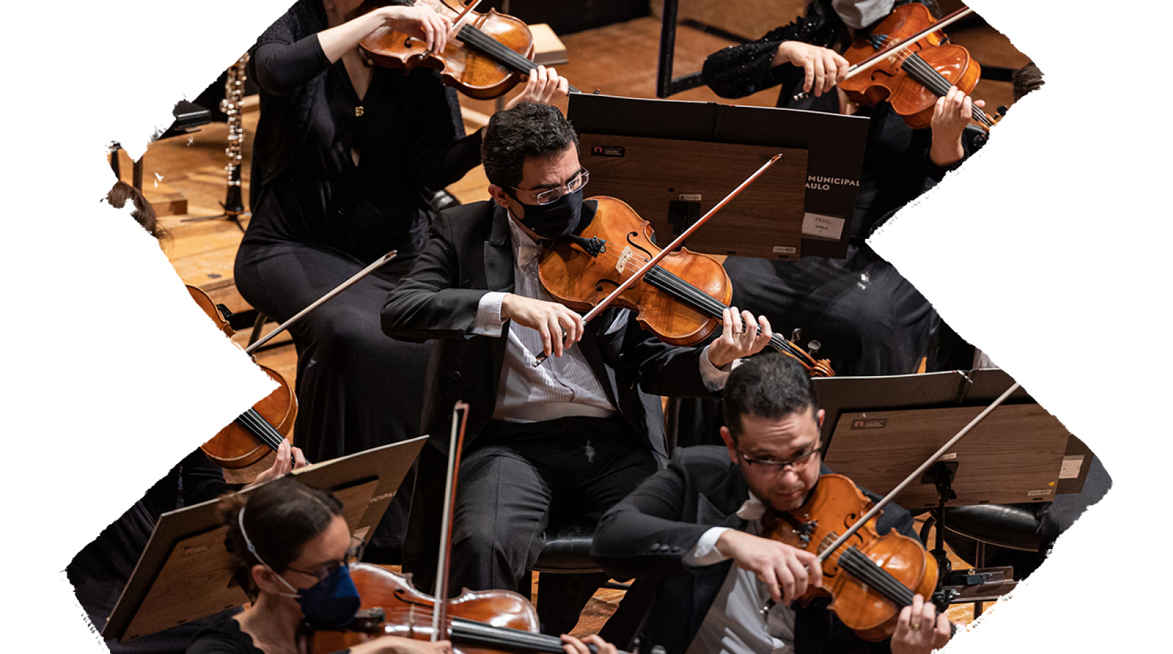 Foto de parte da orquestra tocando durante um concerto