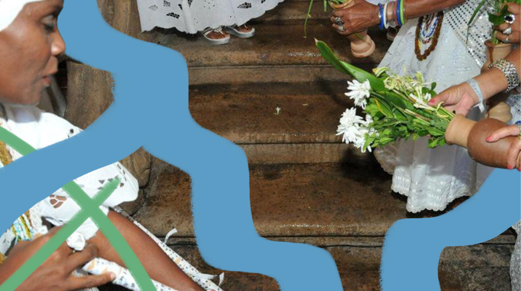 Foto de plantas e ervas para Lavagem